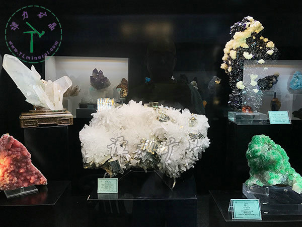 品牌展示 品牌展示