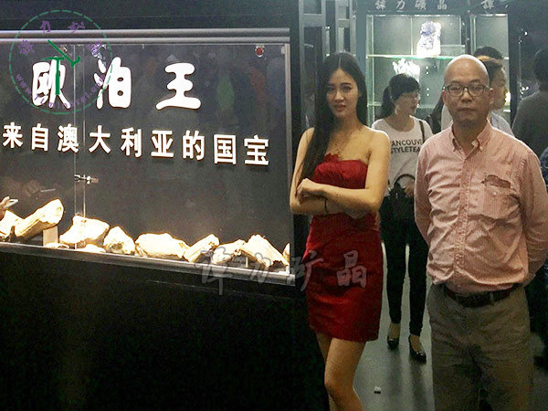 品牌展示 品牌展示