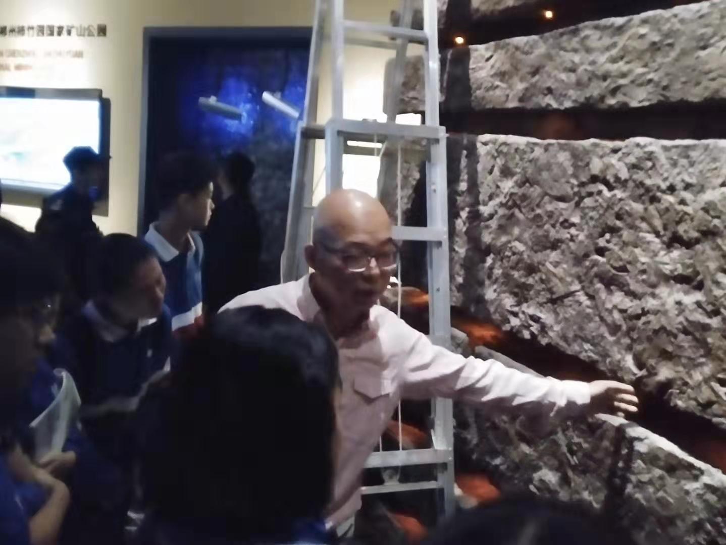 譚力礦晶-礦物標本,礦物晶體,地質(zhì)標本,寶石標本,礦晶 